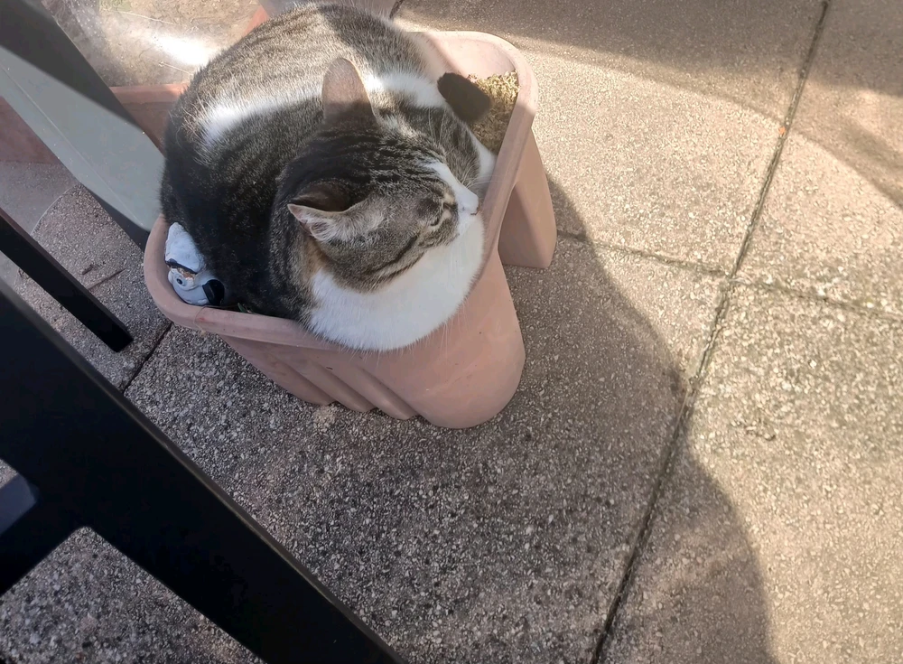 GIF ajouté par Zou