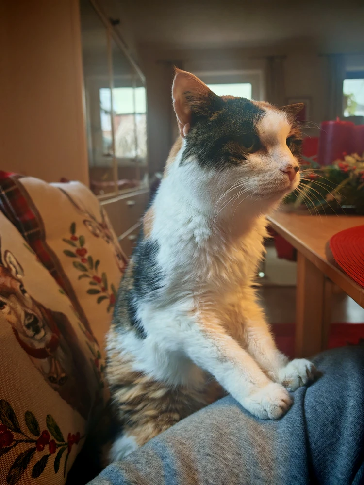 Image uploaded by Anon