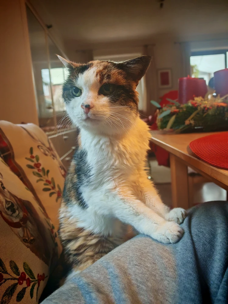 Image uploaded by Anon