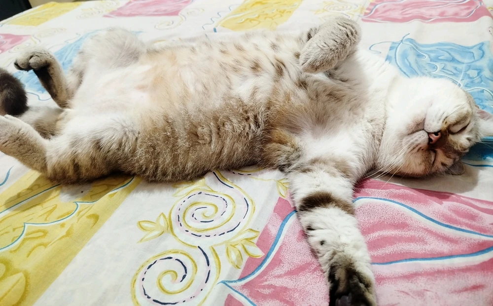 GIF gi-upload ni Ella