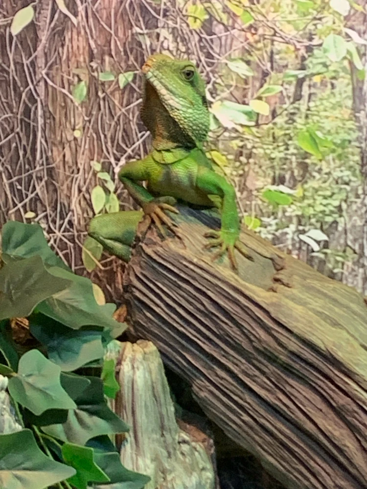 Image uploaded by Ada