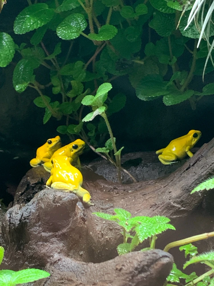 Image uploaded by Ada