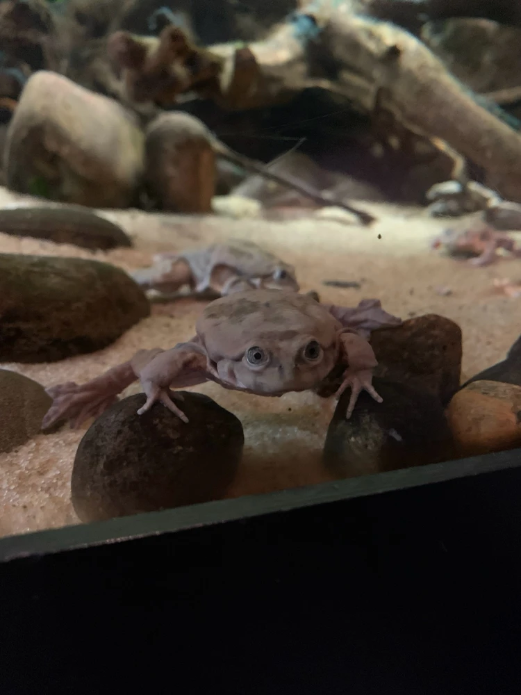 Image uploaded by Ada