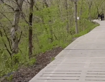 Image uploaded by Brent