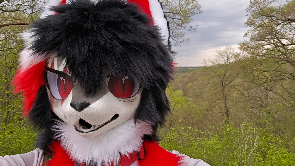 Image uploaded by Brent