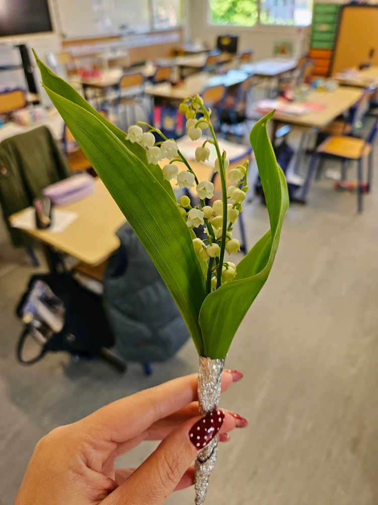 Image uploaded by Méghane