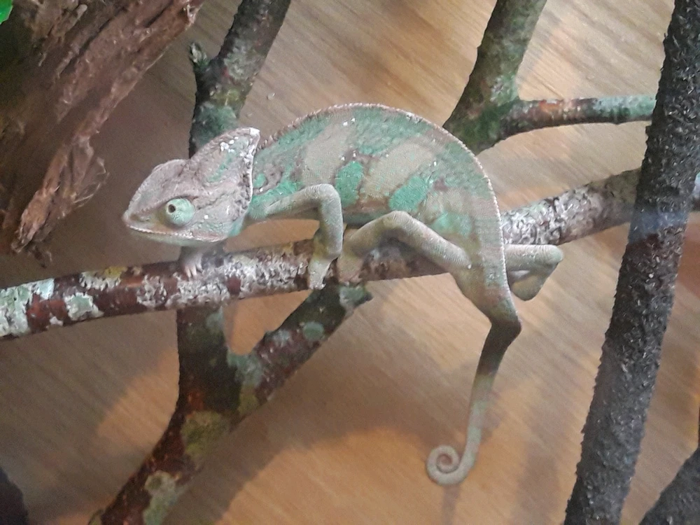 GIF uploaded by Jake