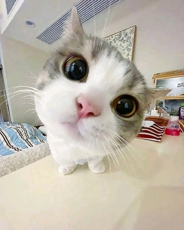 GIF uploaded by Vikrm