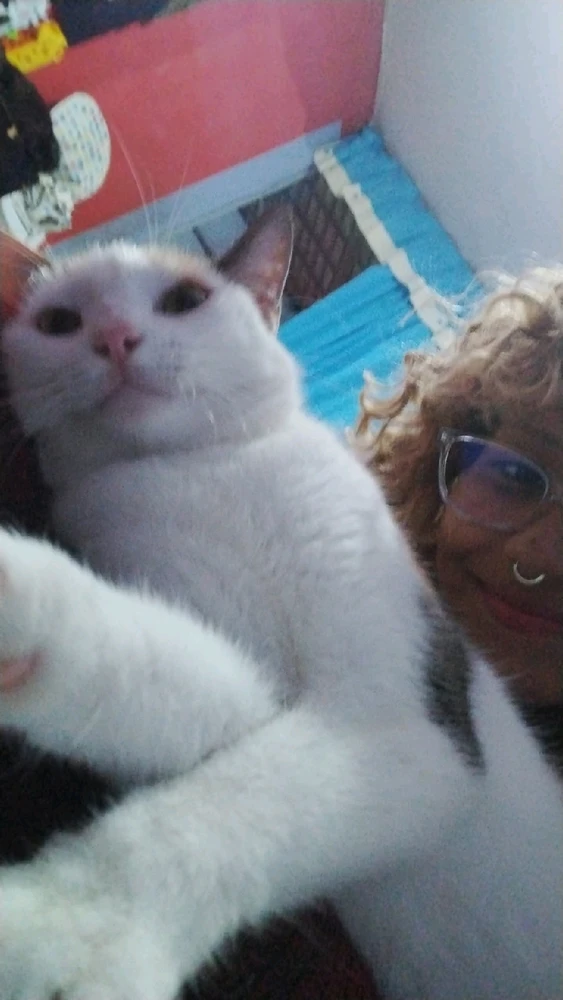 Sarahがアップロードした画像