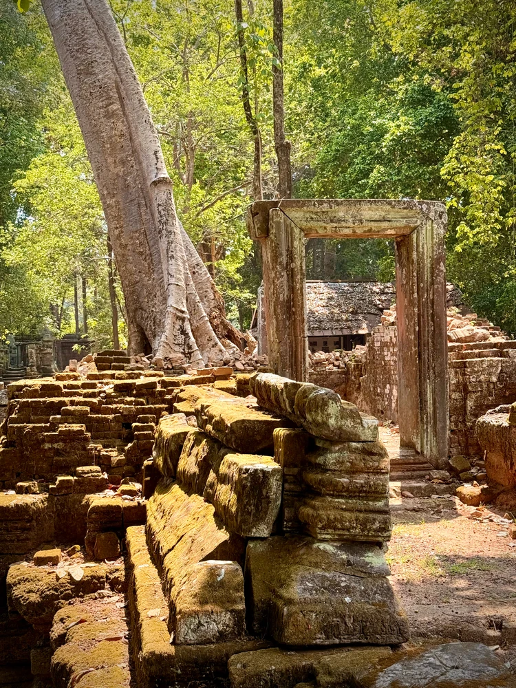 GIF uploaded by TomCat