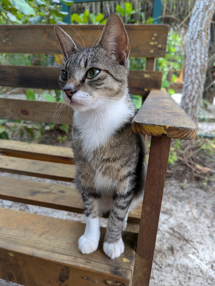 GIF uploaded by Xavier