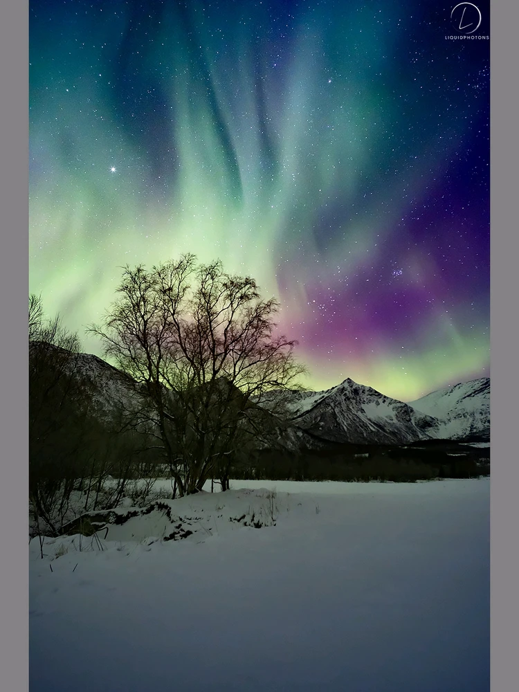 GIF uploaded by Timo