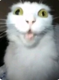 GIF uploaded by John