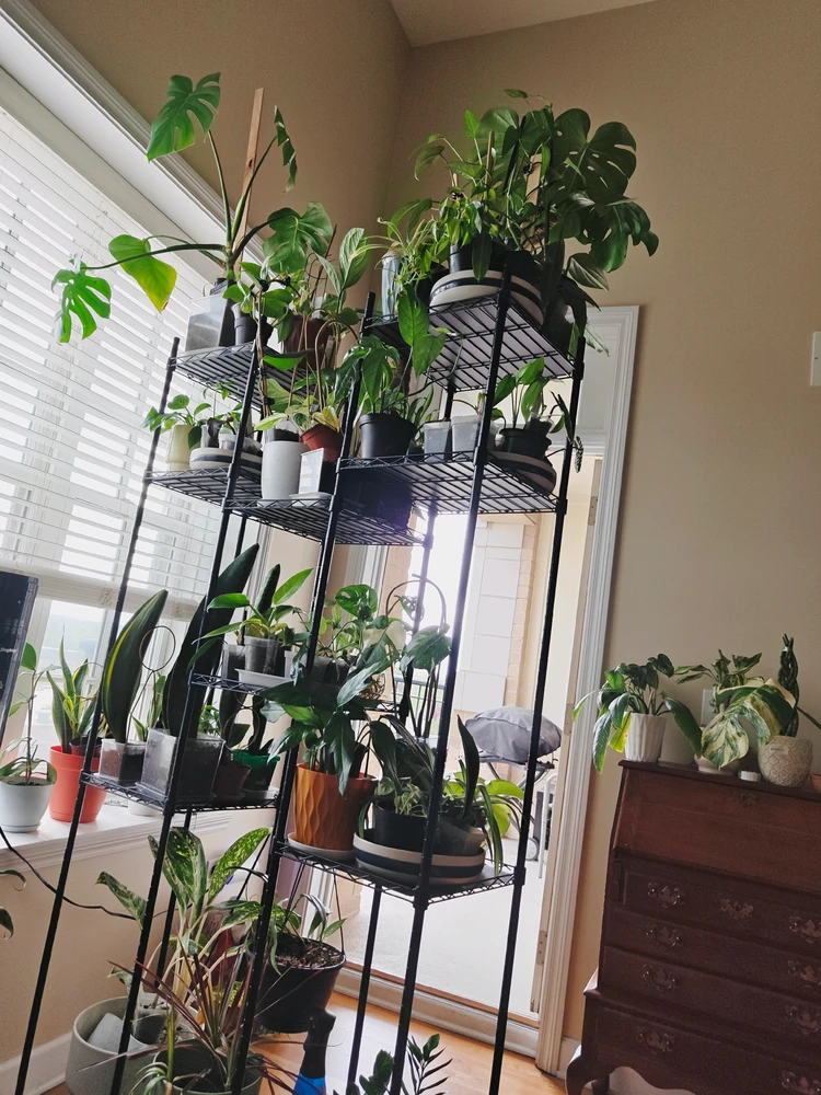 GIF uploaded by MARCO