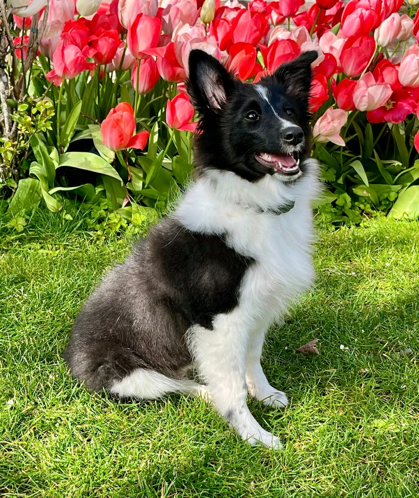 Image uploaded by Robyn