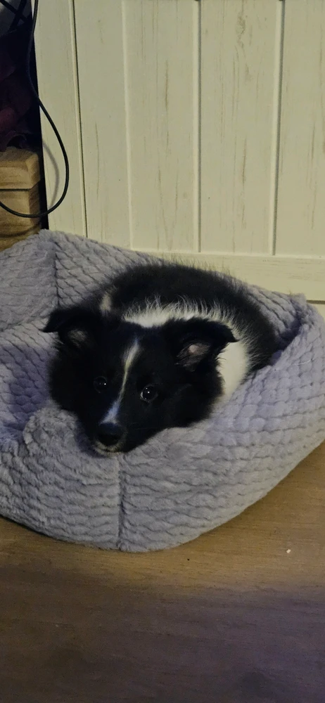 Image uploaded by Robyn