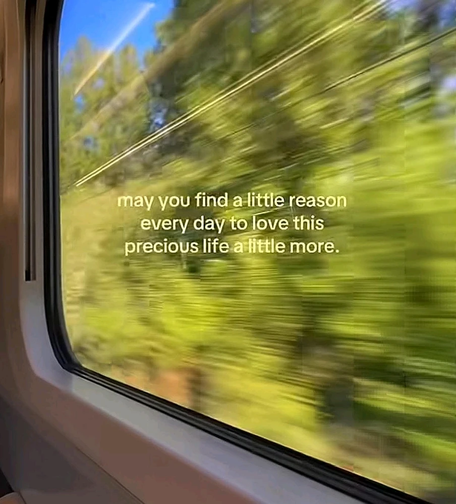 GIF uploaded by Joey