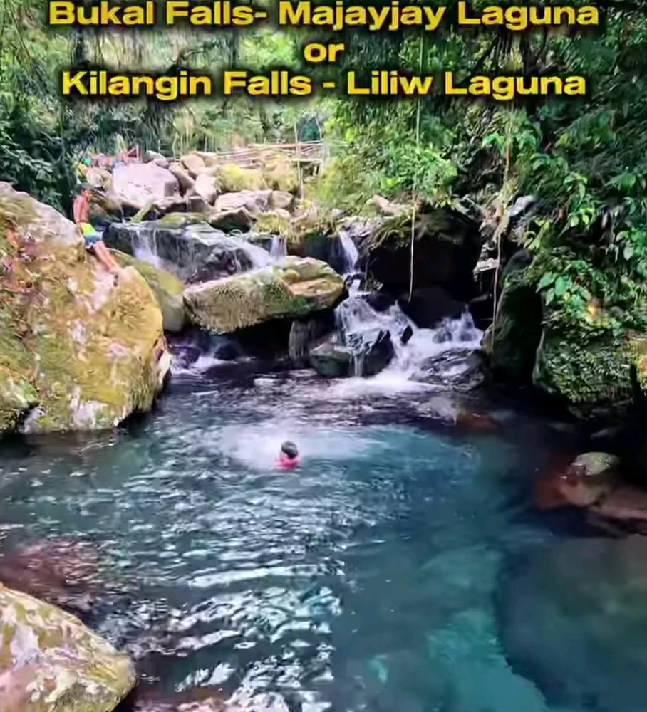 Image uploaded by Nayla