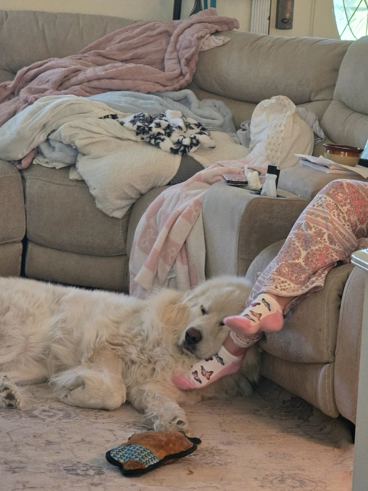 GIF uploaded by Laurie