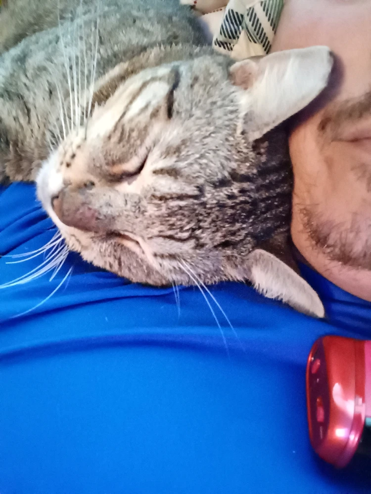 GIF uploaded by Jason