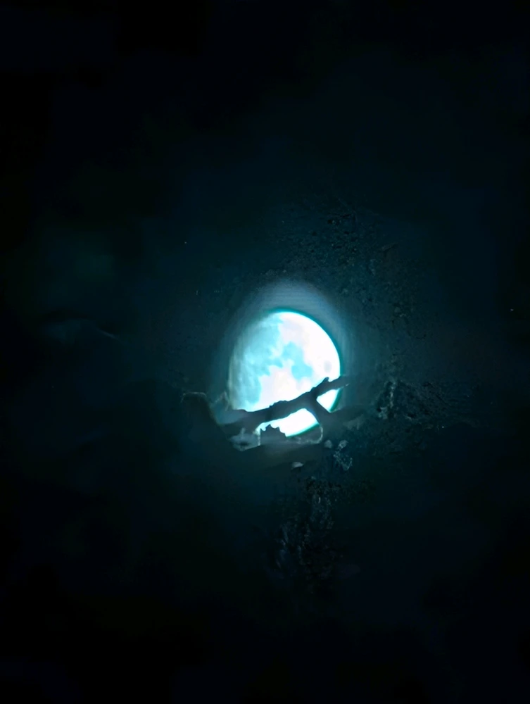 GIF uploaded by Luisa