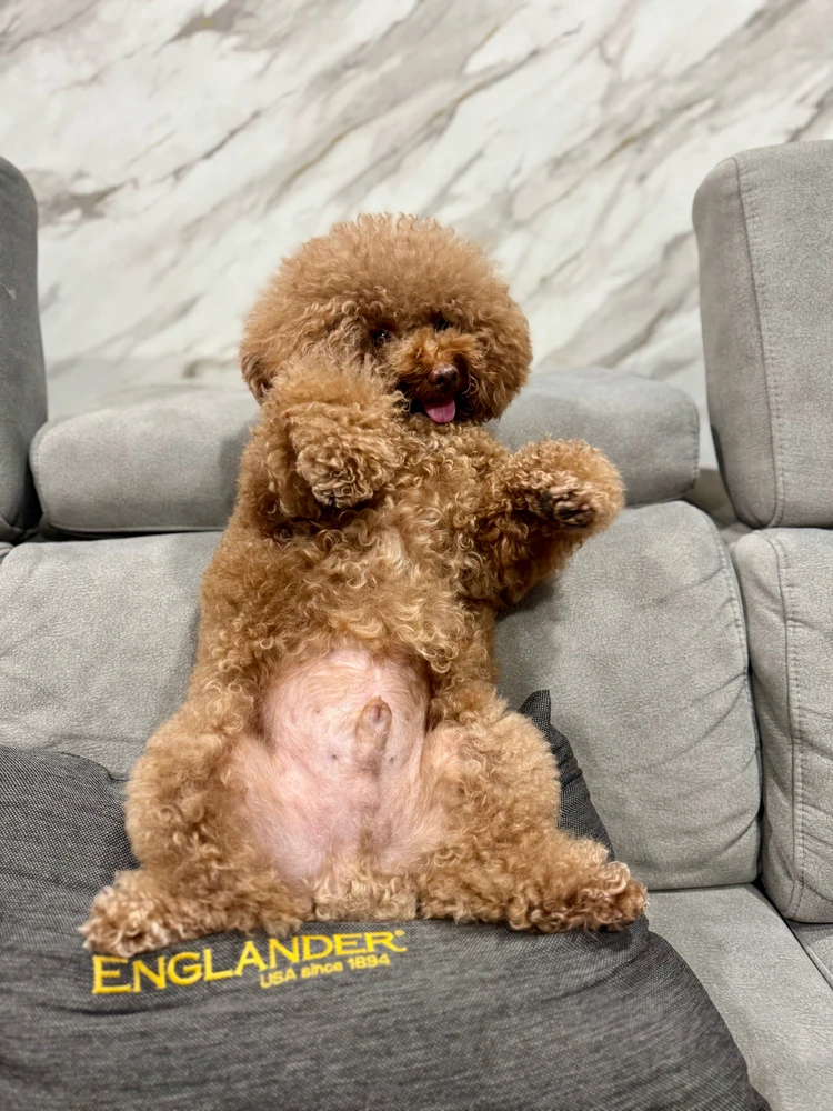 GIF uploaded by Devin