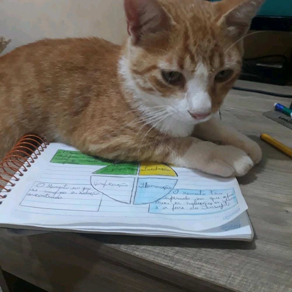 GIF enviado por Alisson José
