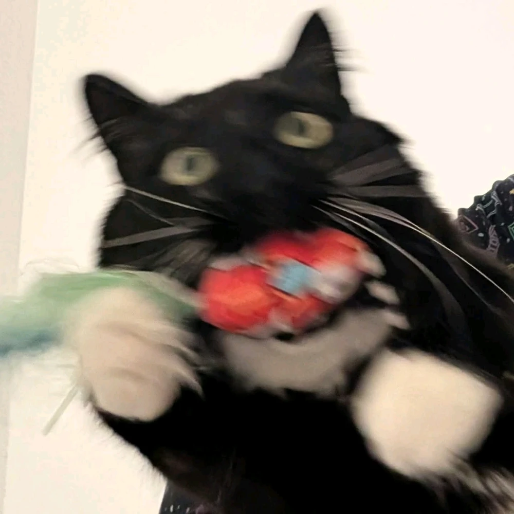 Image uploaded by Deovandski