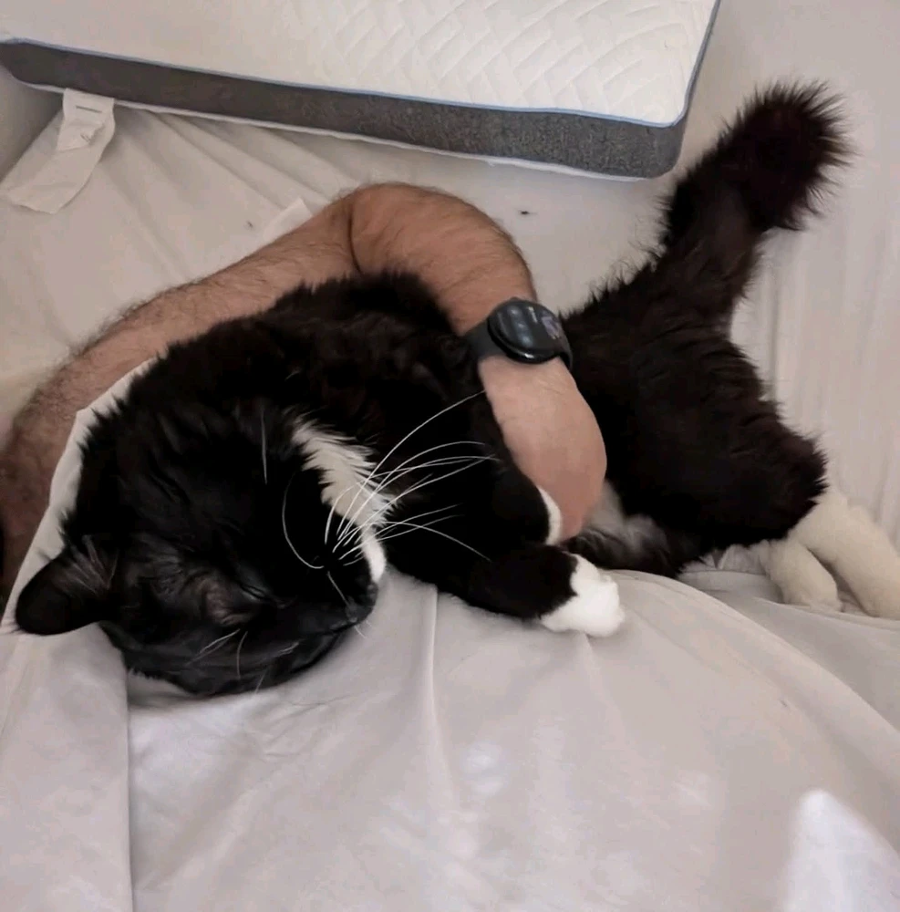 Image uploaded by Deovandski