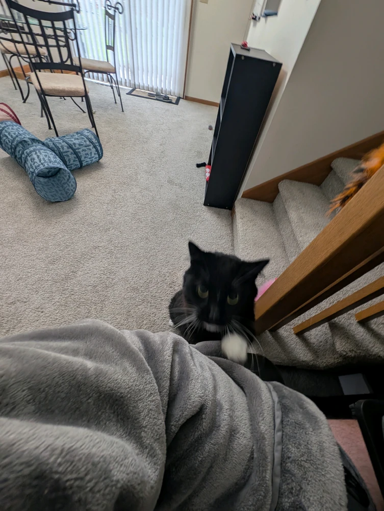 Image uploaded by Deovandski