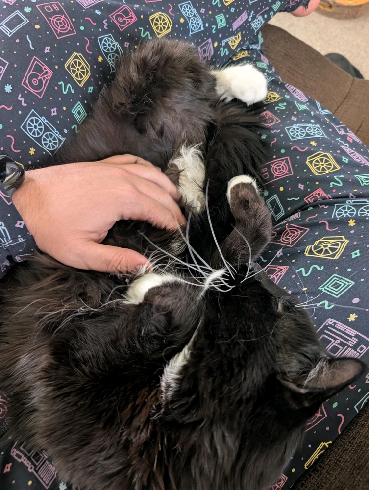 Image uploaded by Deovandski