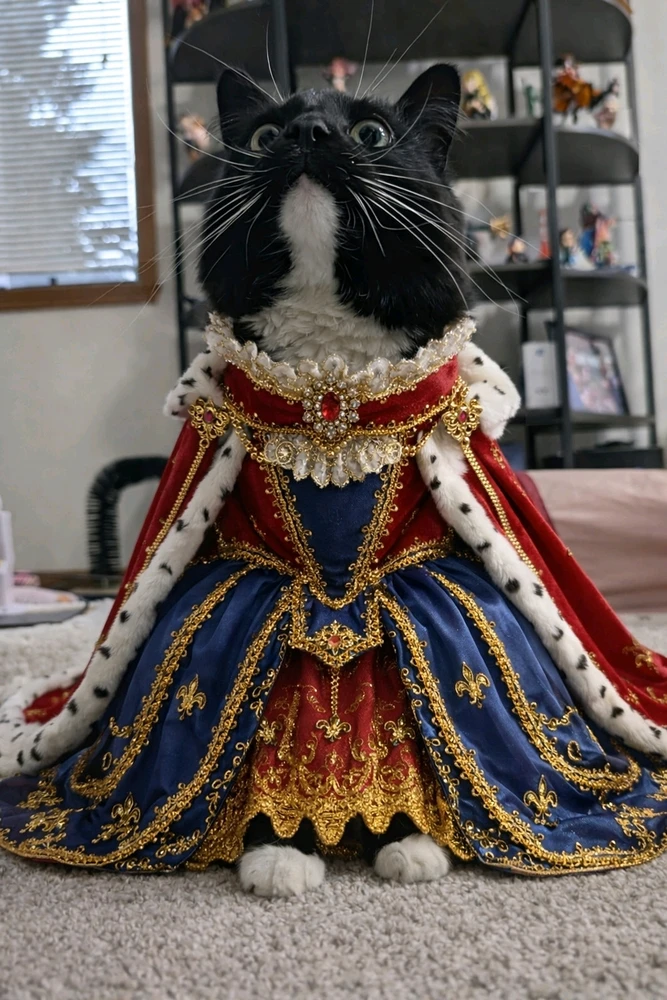 Image uploaded by Deovandski