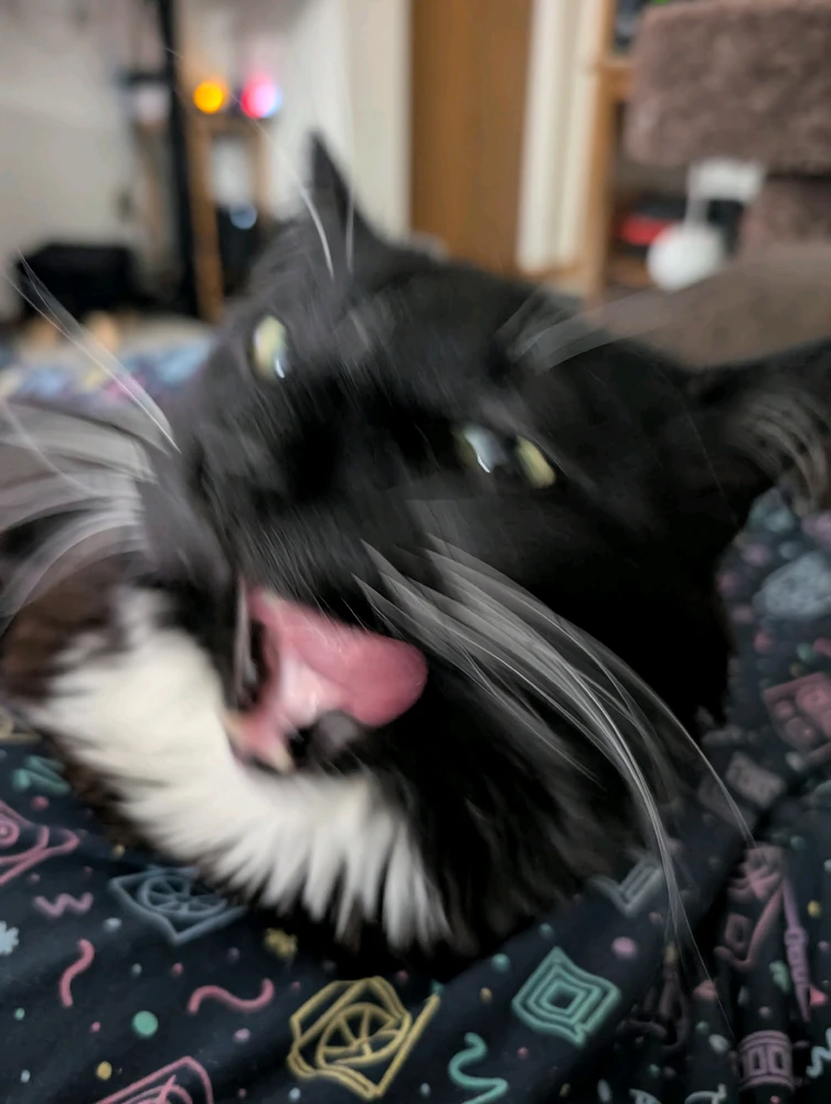 Image uploaded by Deovandski