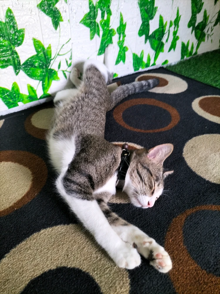 GIF uploaded by Jeserie