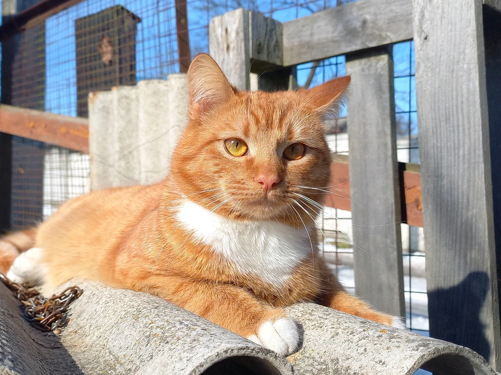 GIF uploaded by Olha