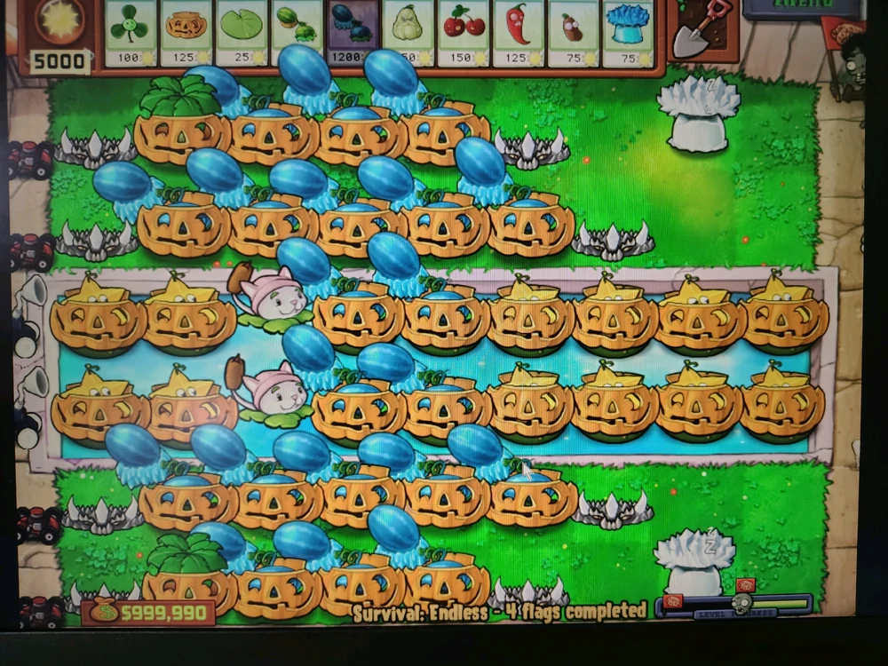 Image uploaded by Evan