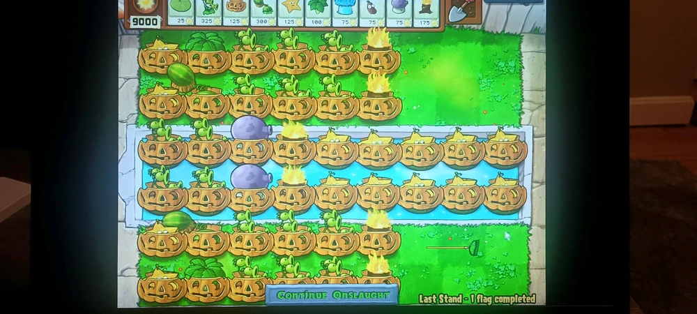 Image uploaded by Evan