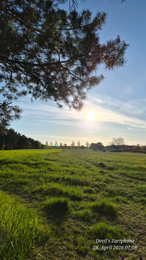 GIF hochgeladen von Devil