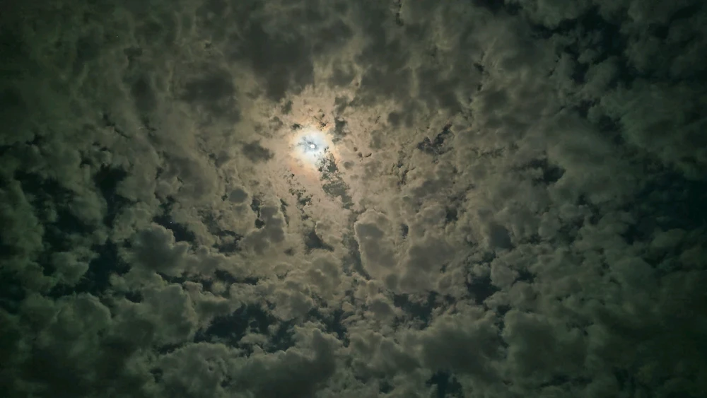 GIF uploaded by Ặžžàm