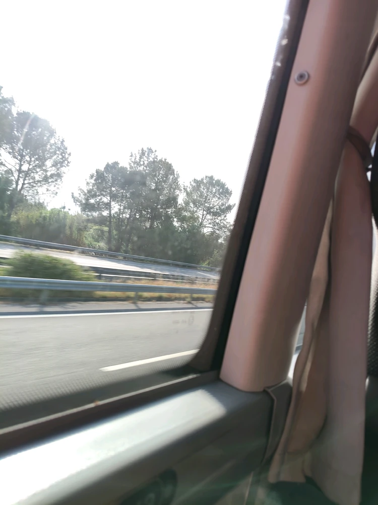 GIF uploaded by Nuno Rosa