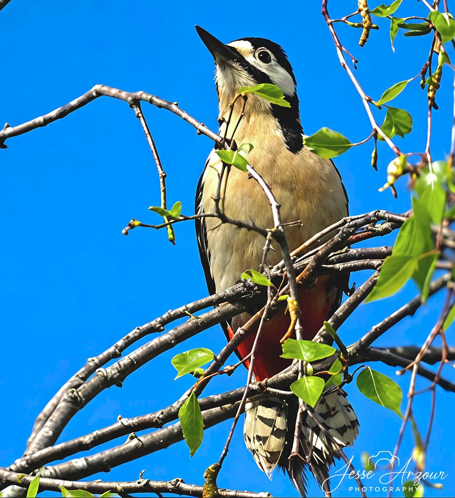 GIF uploaded by Jesse