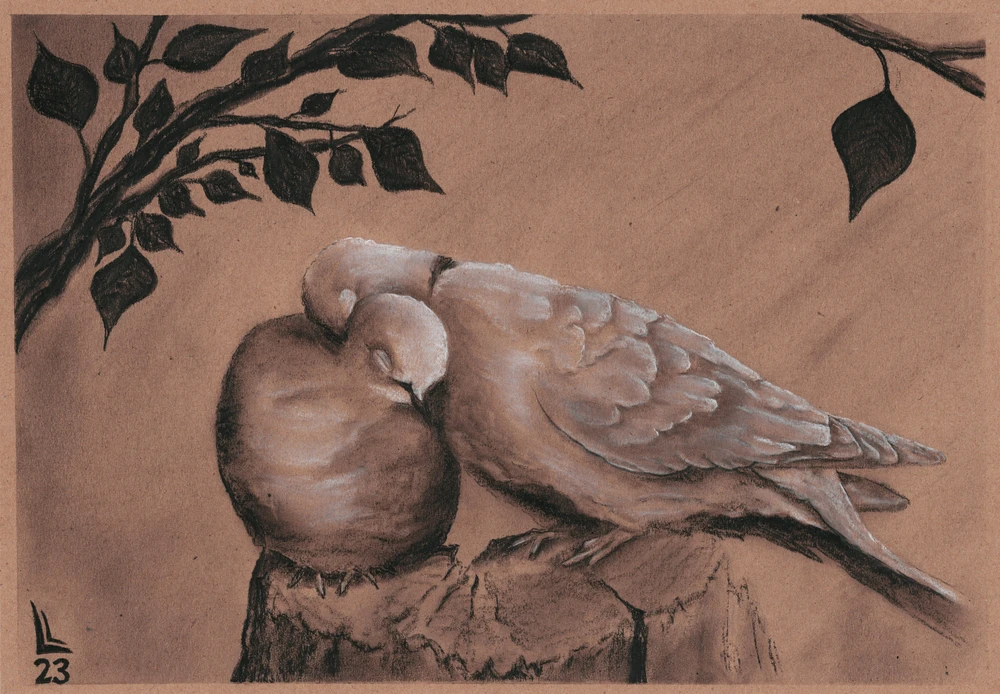 GIF uploaded by Lucas