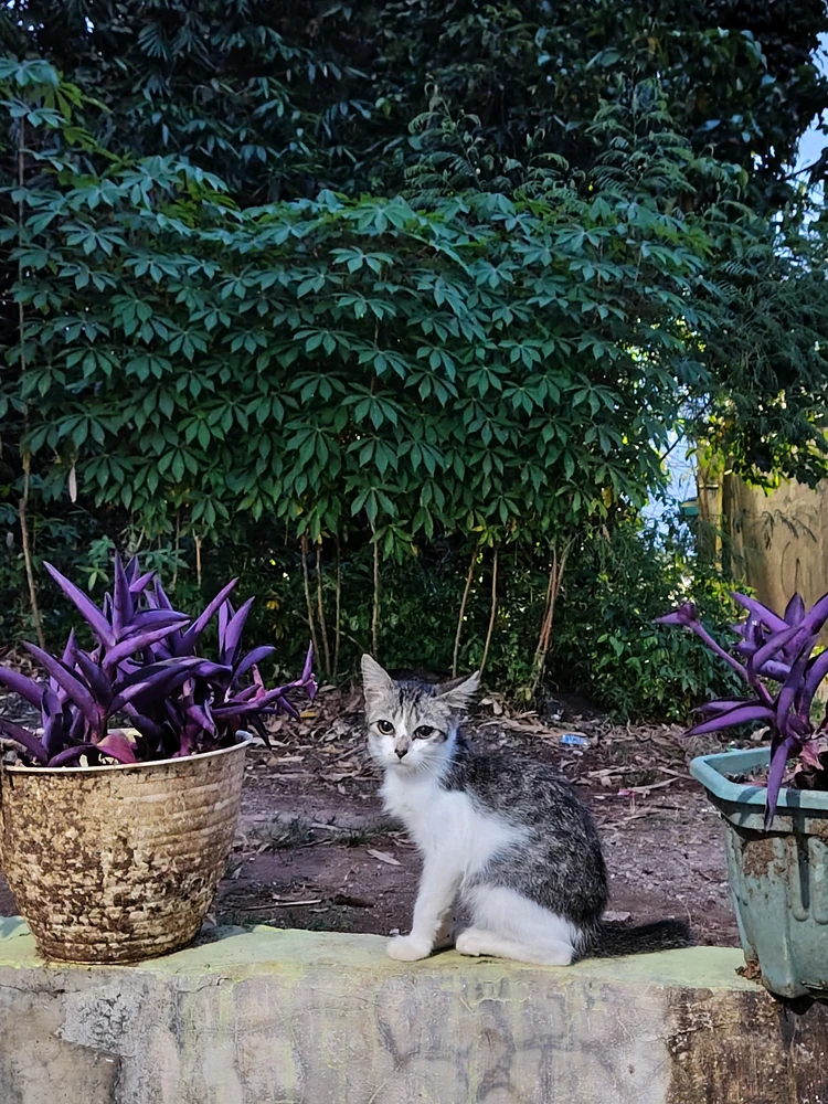 GIF uploaded by ORyZa