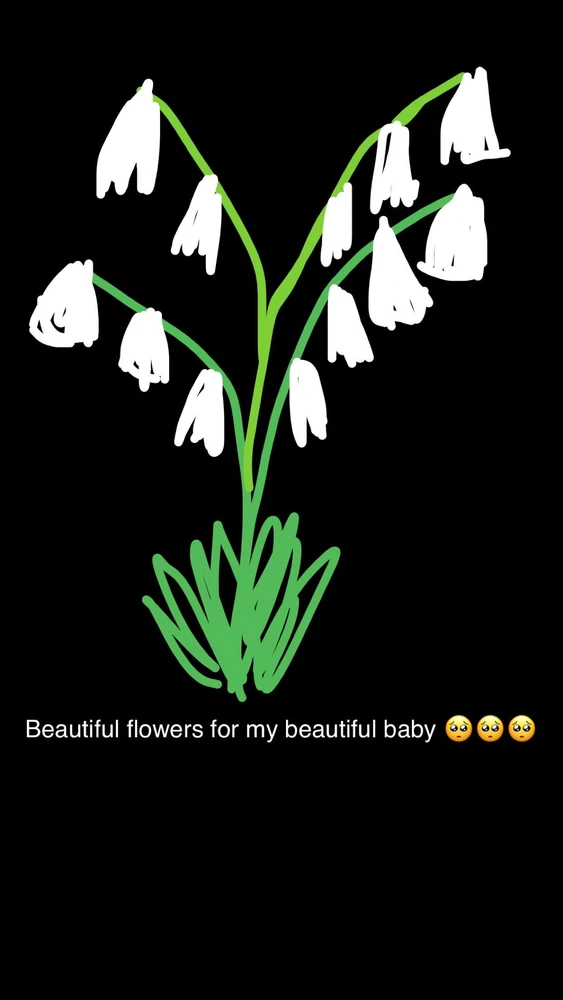 GIF uploaded by Bethany