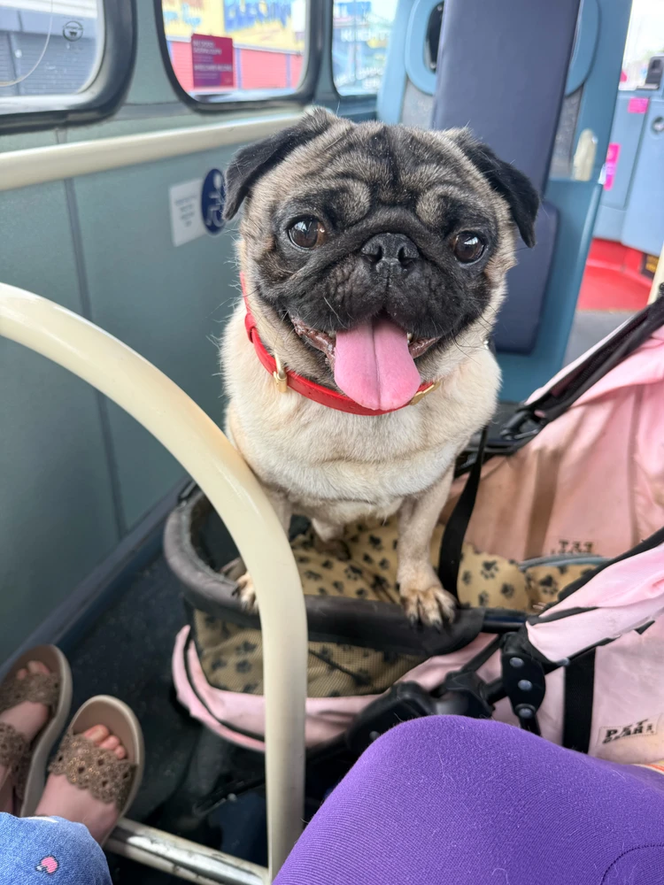 Image uploaded by Debbie 🏴󠁧󠁢󠁷󠁬󠁳󠁿