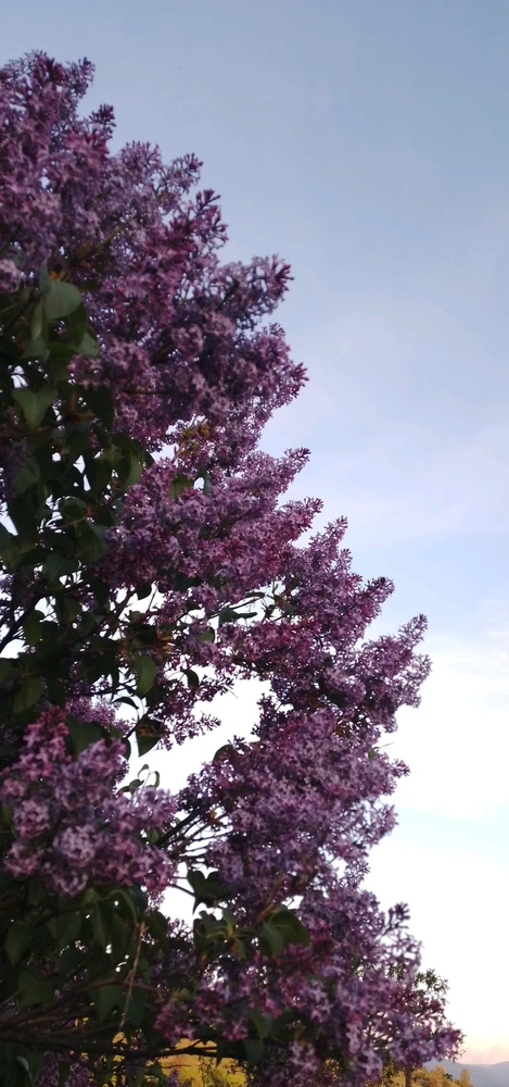 GIF uploaded by Kas