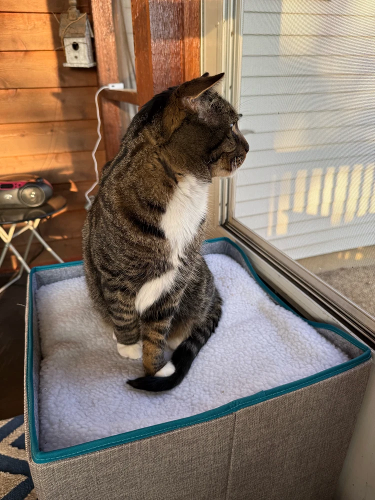 GIF uploaded by Nick