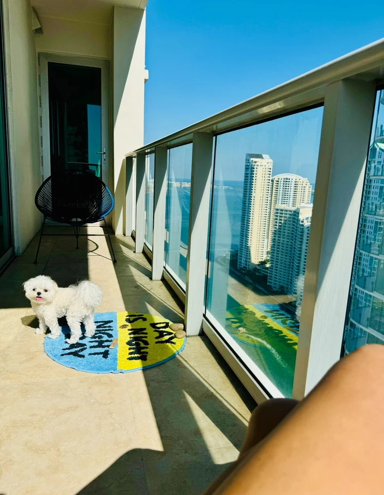 GIF uploaded by キャンディス