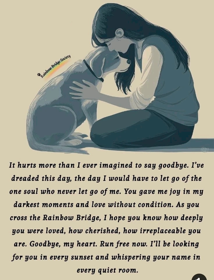 GIF uploaded by Jasi