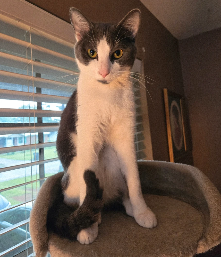 GIF uploaded by Justin